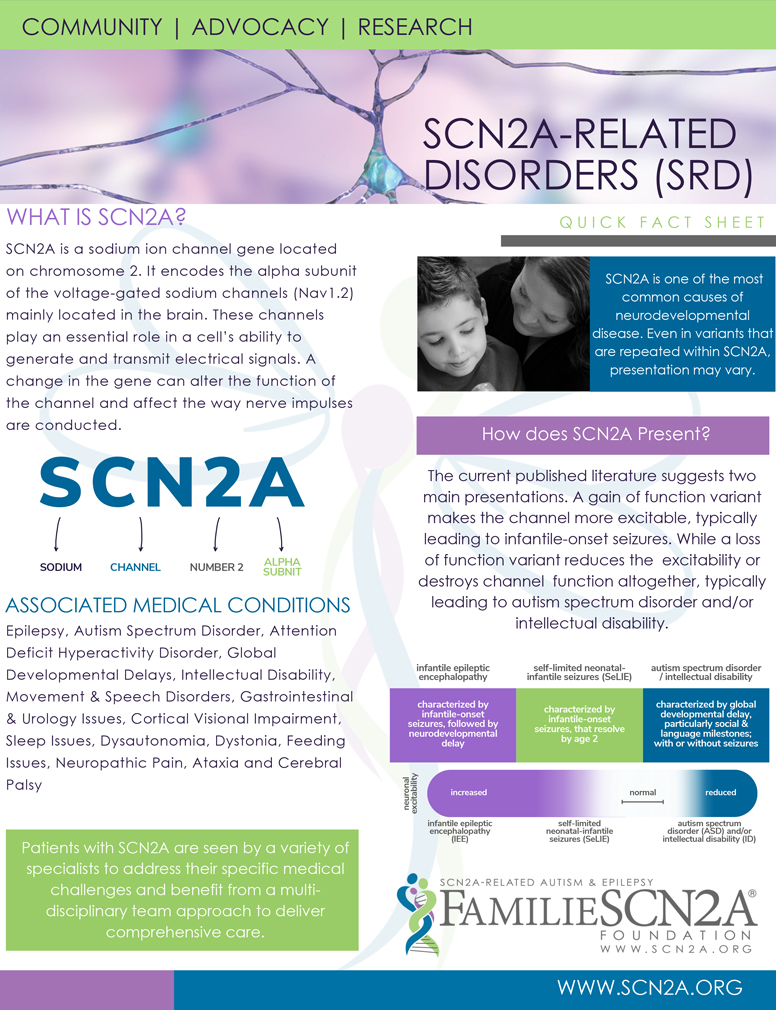 SCN2A related disorders