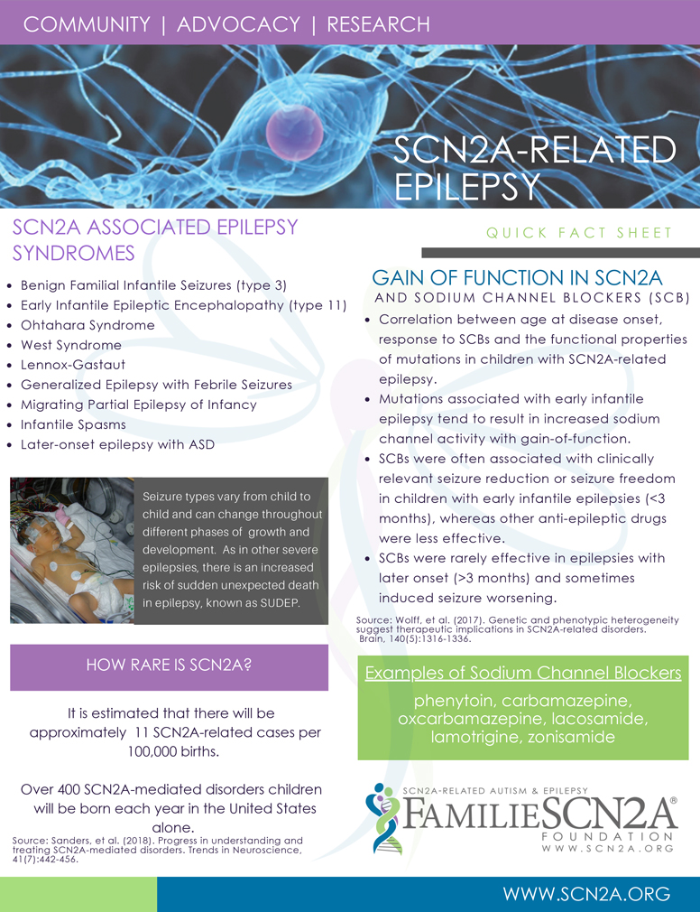 SCN2A related epilepsy